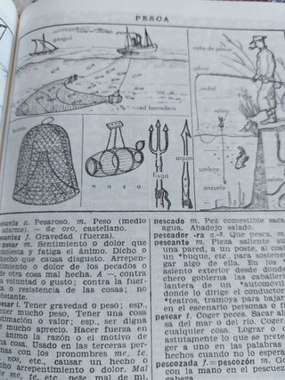 DICCIONARIO MANUAL ILUSTRADO LENGUA ESPAÑOLA