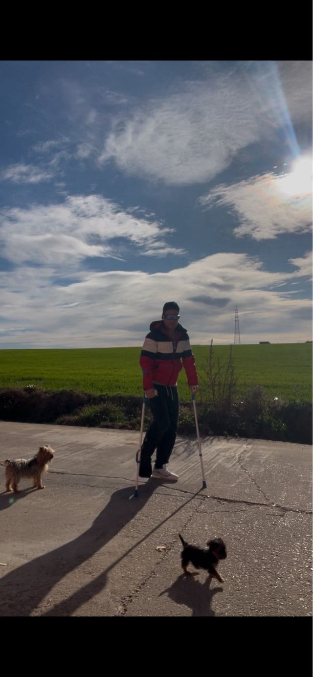 Plumas Tommy Hilgfiger S