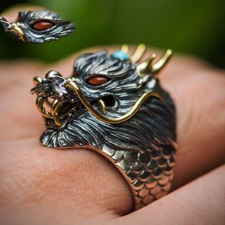 Anillo del Dragon de Titanio Protector