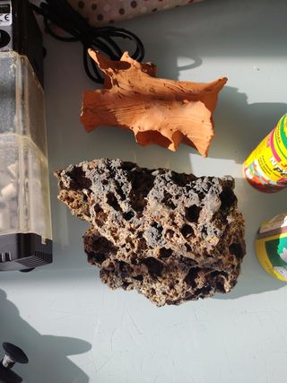 Accesorios acuario + regalo