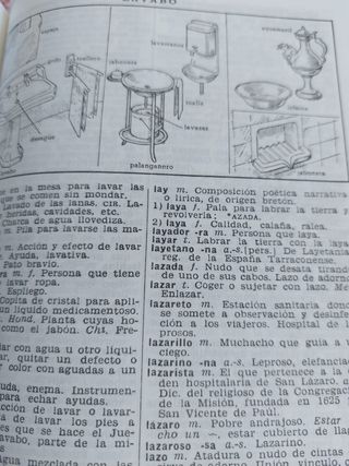 DICCIONARIO MANUAL ILUSTRADO LENGUA ESPAÑOLA