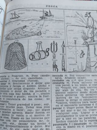 DICCIONARIO MANUAL ILUSTRADO LENGUA ESPAÑOLA