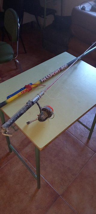 Cañas de pescar