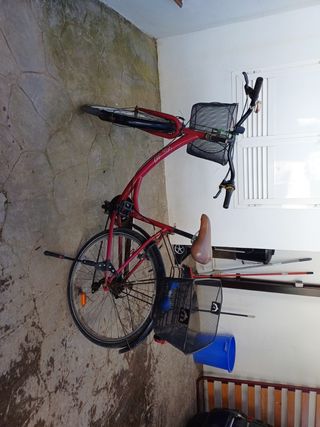 Bicicleta