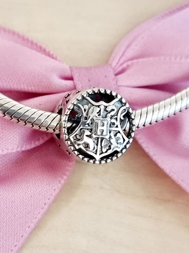 ✨️CHARM CASAS HOWGARTS HARRY POTTER✨️