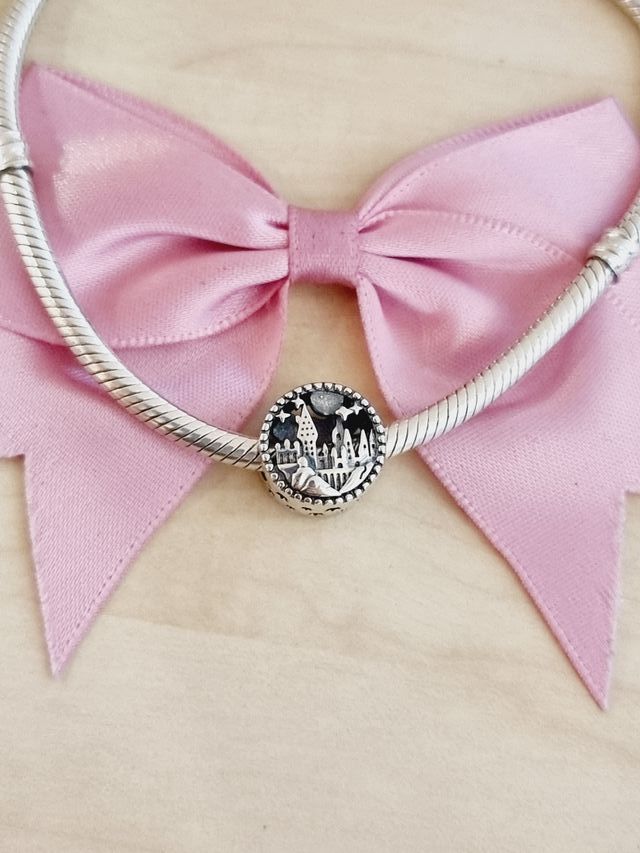 ✨️CHARM CASAS HOWGARTS HARRY POTTER✨️