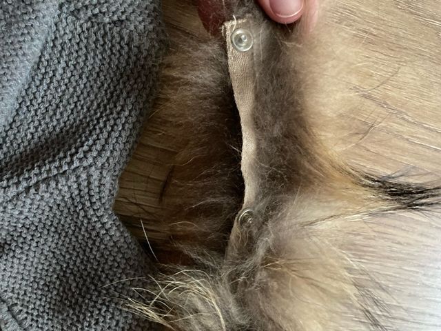 Chaqueta de vestie de punto y pelo natural bebe