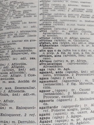DICCIONARIO FRANCES ESPAÑOL  ESPAÑOL FRANCÉS