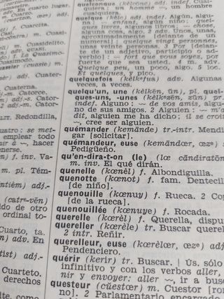 DICCIONARIO FRANCES ESPAÑOL  ESPAÑOL FRANCÉS 