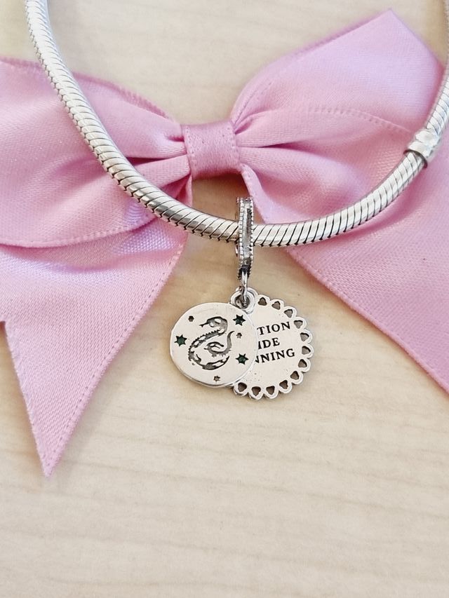 ✨️CHARM SLYTHERIN HARRY POTTER✨️