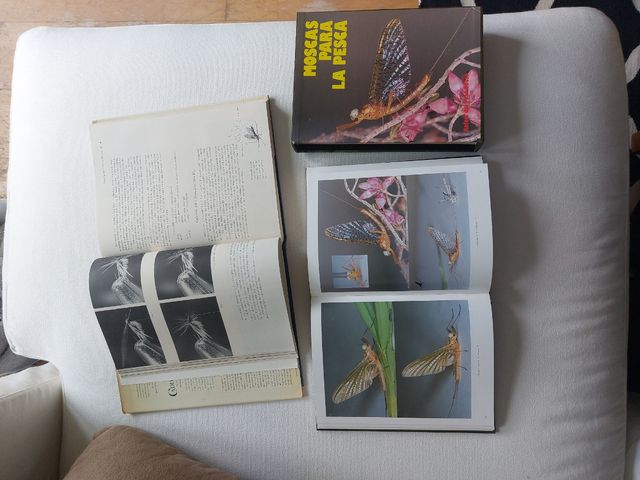 2 libros de pesca únicos