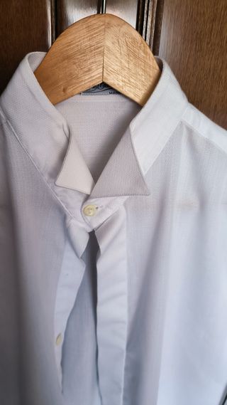 Camisa pajarita