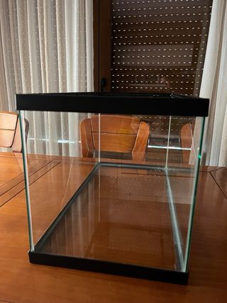 Acuario y Accesorios