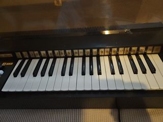 Magnus electric  chord organ