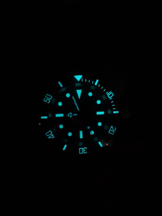 Reloj STEELDIVE