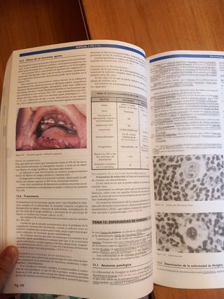 Manual CTO de Medicina y Cirugía. Tomo II. 3° Edic