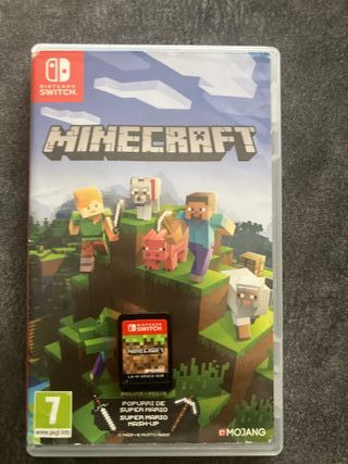 Minecraft nintendo swich