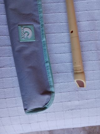 Flauta escolar BAGGY