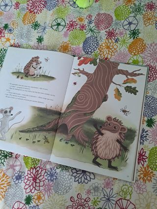 Libro y peluche Erizo se va de casa 🏡