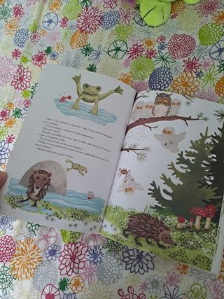 Libro y peluche Erizo se va de casa 🏡