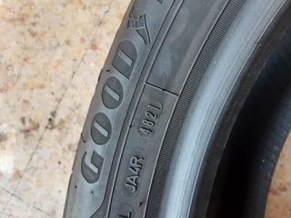 205 55 R19 neumaticos