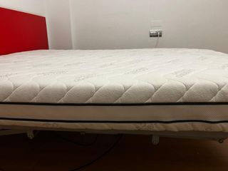 Cama geriátrica y cochon