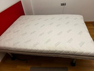 Cama geriátrica y cochon