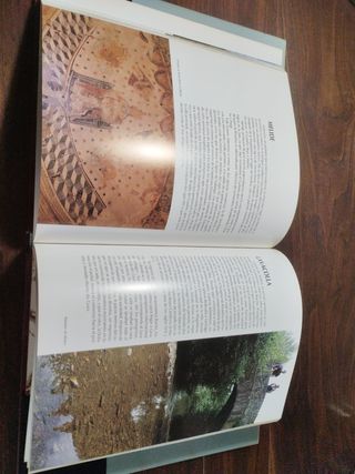 Libro Camino de santiago