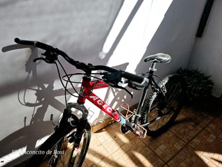 Bicicleta