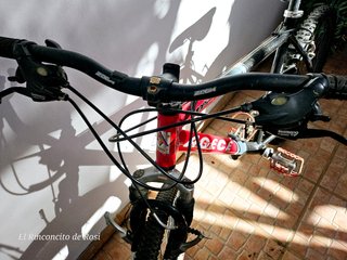 Bicicleta