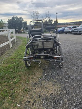 Carruajes.maratho cohe de caballos en ventan cc