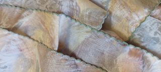 Colcha edredón y cortinas