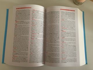 Diccionario secundaria y bachillerato