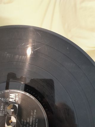 Vinilo Brian Adams Waking up the neighbours