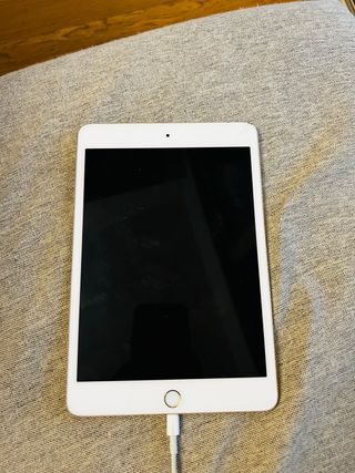 iPad mini 4