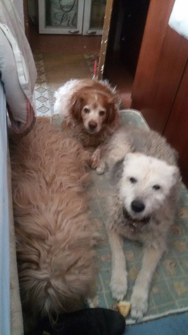 Esterilla doble  capa yoga o montaña