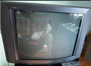 📺televisión trinitron sony📺