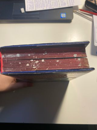 Rescate en el Reino de la Fantasía. Noveno viaje