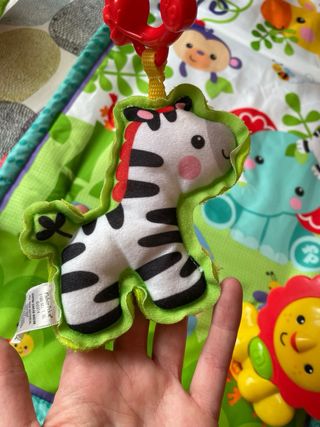 Activity gym Fisher Price