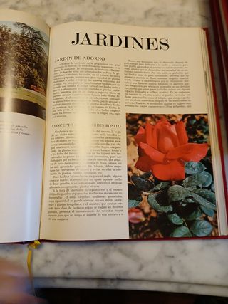 Enciclopedia de la mujer. Salvat