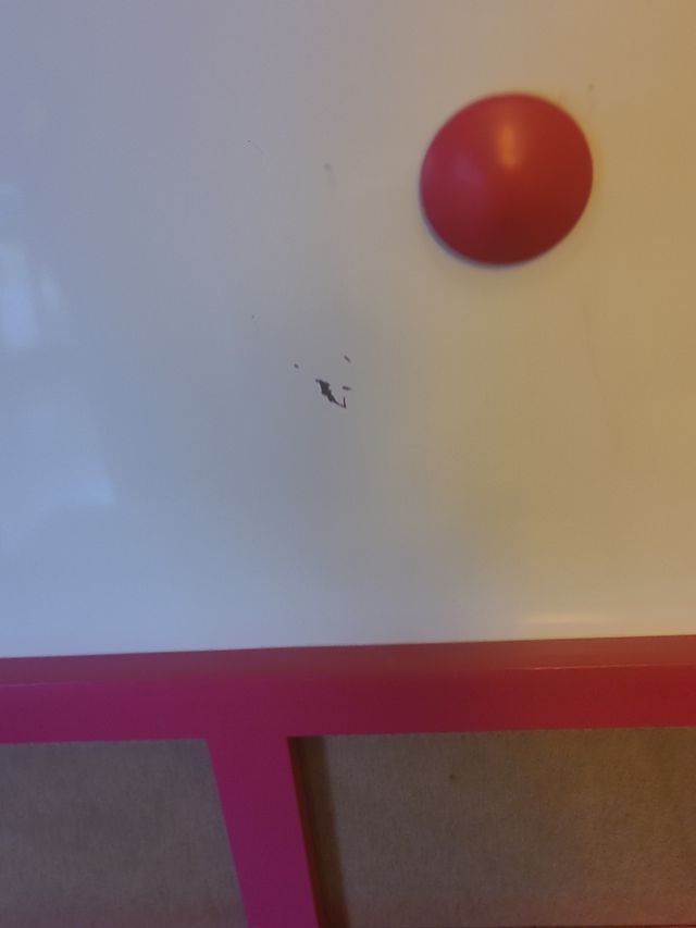 Pizarra magnética/fotos