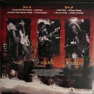 Vinile LP Gorilla - Treecreeper