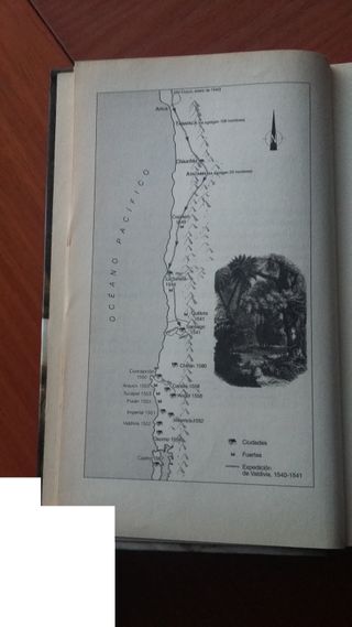 Inés del alma mía, Isabel Allende