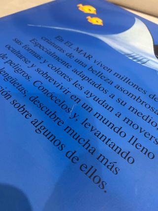 Libro: “El mar” para niños