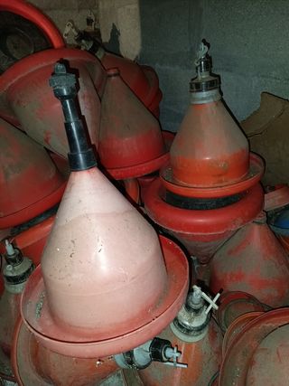 Bebederos para pollos