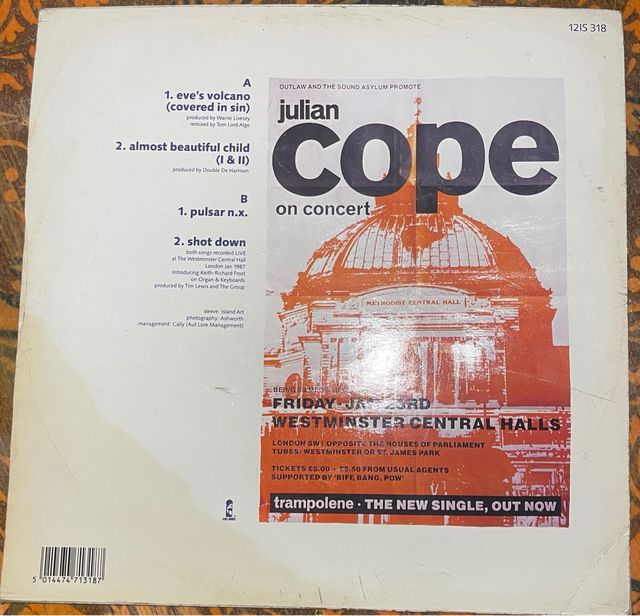 Julian Cope. 