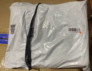 Hinchable de Alas de Angel con Asas