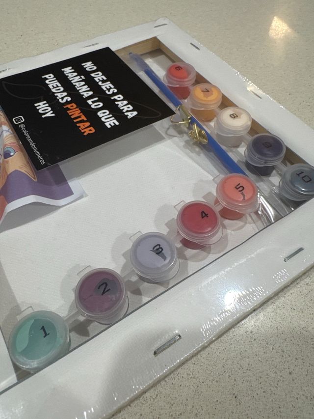 Kit para pintar por números