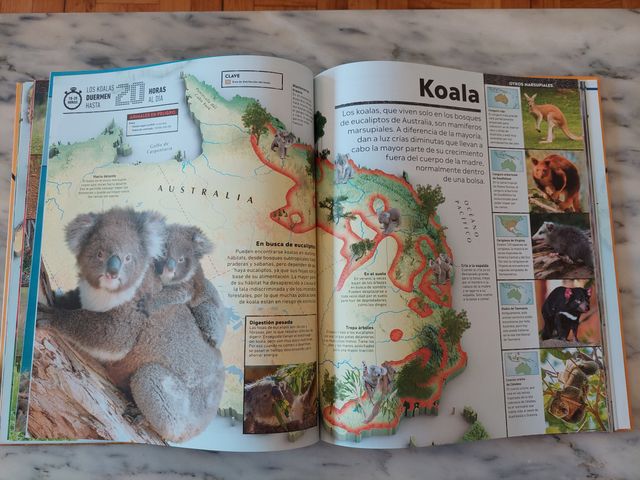 Libro "Atlas del mundo animal"
