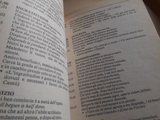 Libro Dizionario di proverbi, motti e se